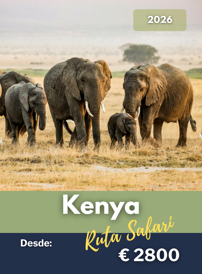 Kenya Safari 